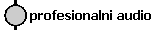 profesionalni audio